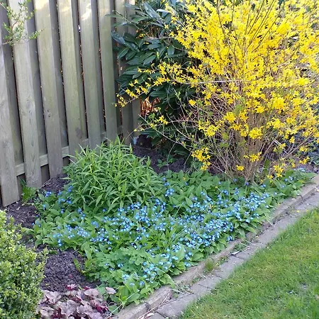 Baumann Lejlighed Westoverledingen