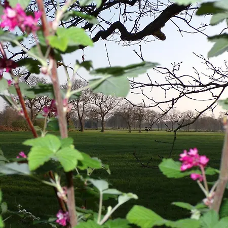 Baumann Lejlighed Westoverledingen