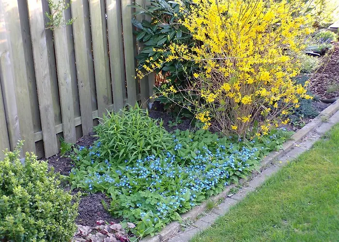 Baumann Appartement Westoverledingen