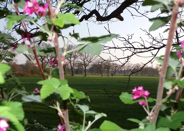 Baumann Appartement Westoverledingen