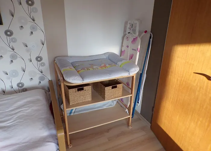 Baumann Westoverledingen